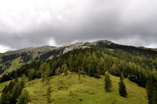 Planina Preval nad Ljubeljem - foto