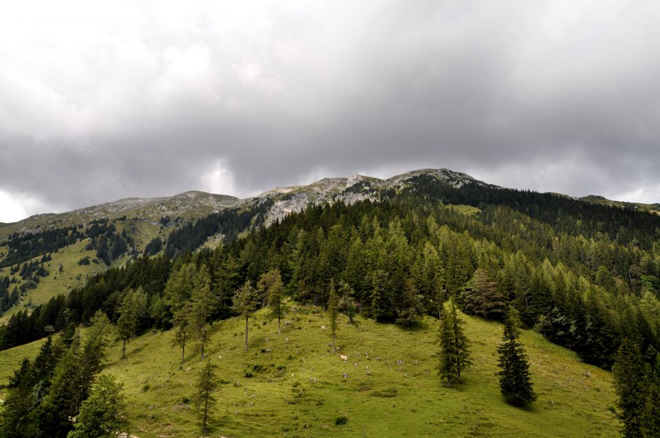 Planina Preval nad Ljubeljem - foto povečava