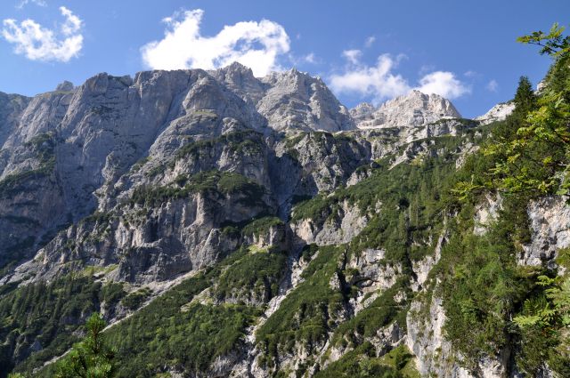 Kriški podi (2050m) - foto