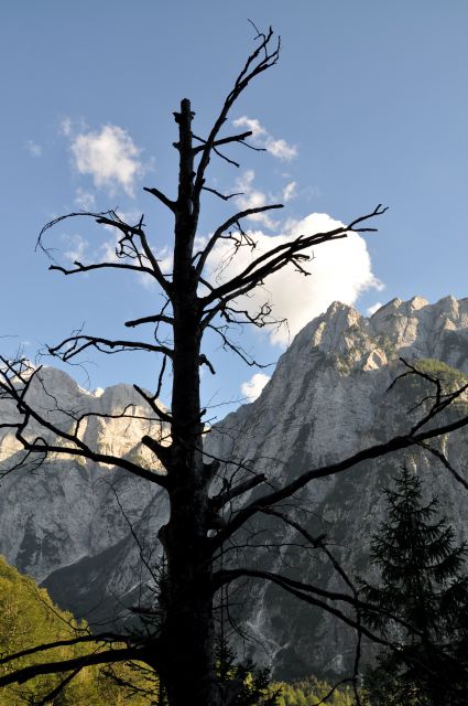 Kriški podi (2050m) - foto