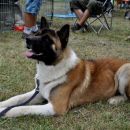 CAC Trbovlje 28.8.2011