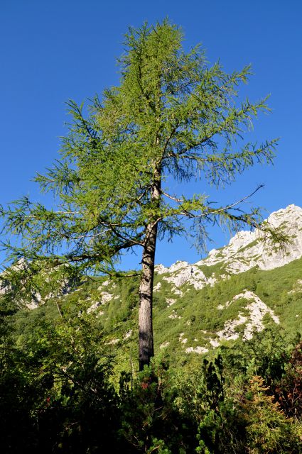 Konjščica- Vodnikov dom - foto