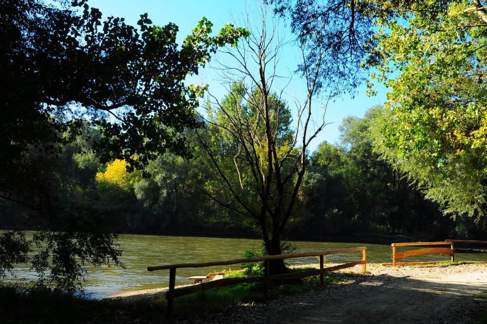 Mura in otok ljubezni - foto povečava