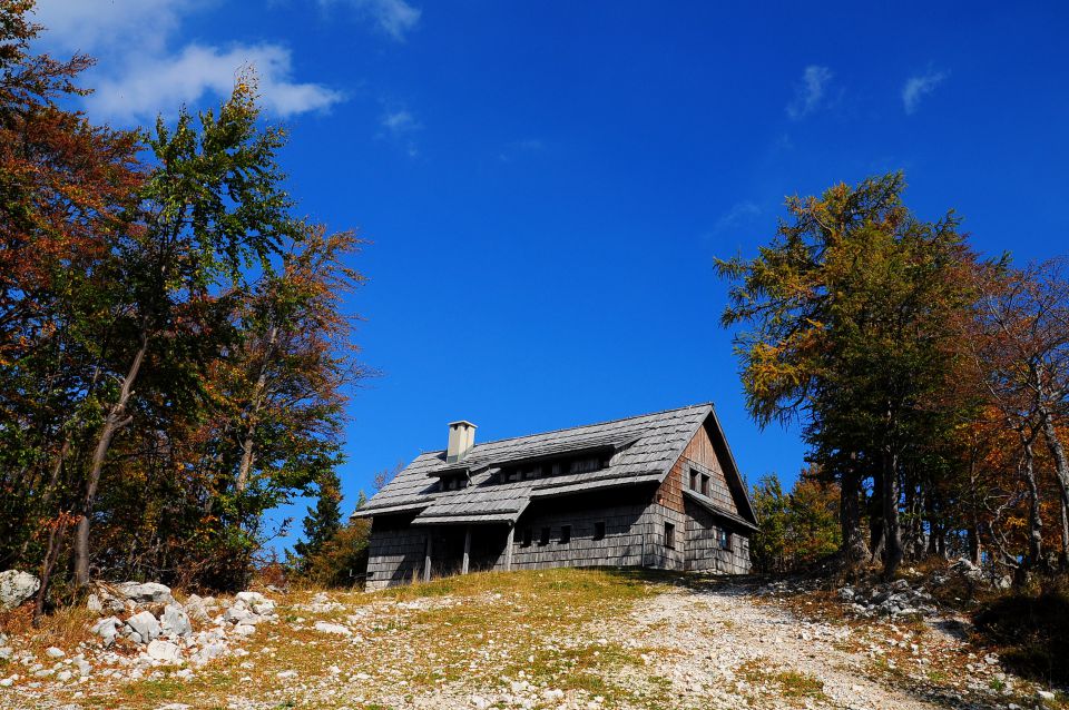 Na voglu 6.10.2011 - foto povečava