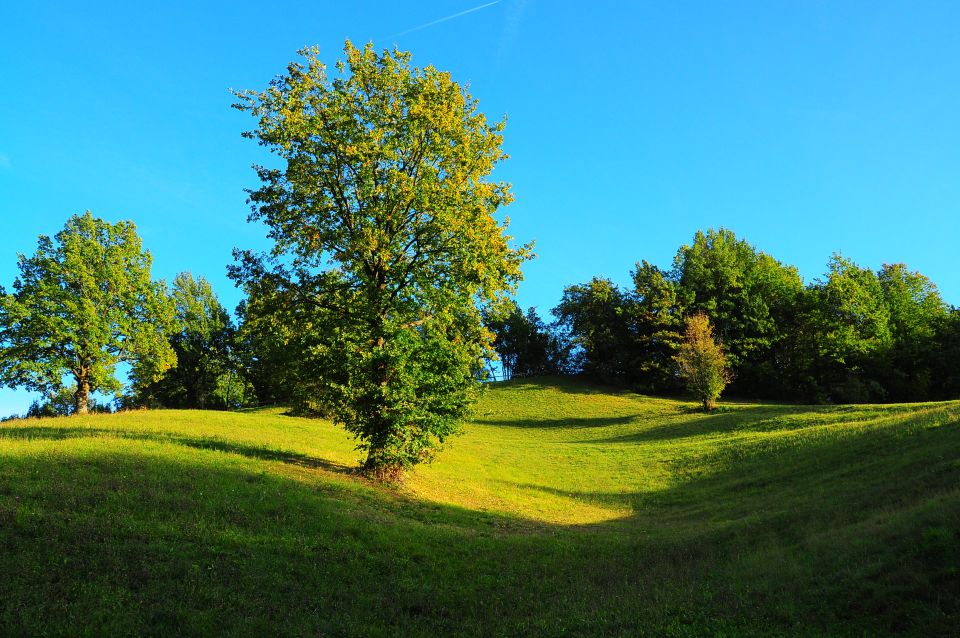 Barve jeseni - foto povečava