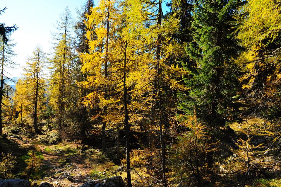 Debela peč v jesenskih barvah  18.10.2011 - foto povečava