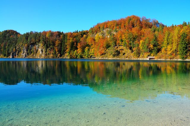 Jesen na jezeru Alpensee
