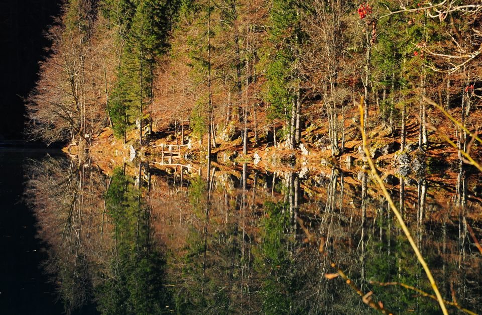 Belopeška jezera 15.11.2011 - foto povečava