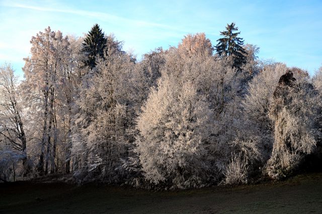 Ivje pod Krvavcem 27.11.2011 - foto