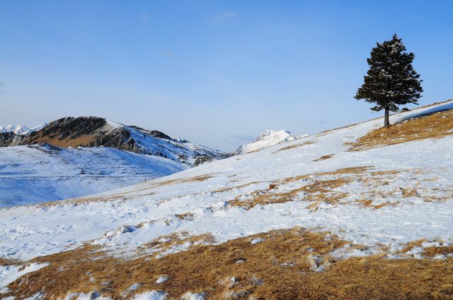 Velika planina januar 2012 - foto