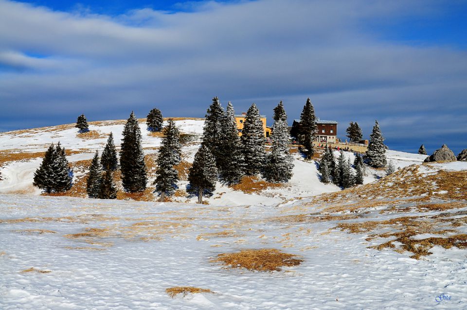 Velika planina januar 2012 - foto povečava