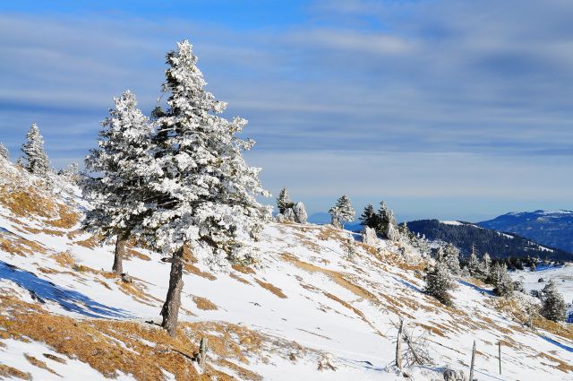 Velika planina januar 2012 - foto