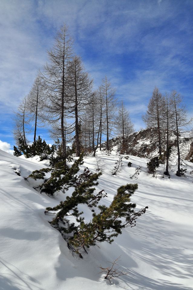 Blejska koča - foto povečava