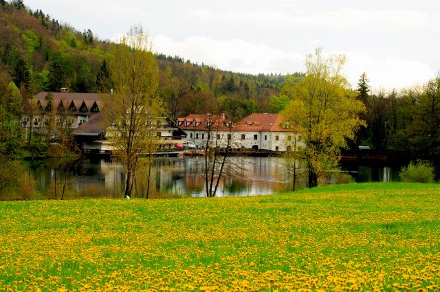 Preddvor in jezero črnava - foto