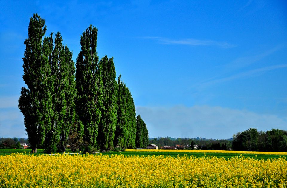 Prekmurje  - foto povečava