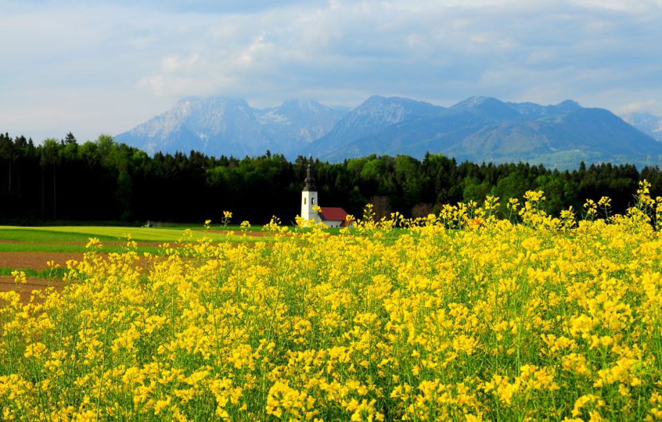 Bajer v Hrašah  - foto povečava