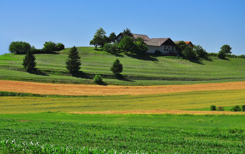 Otočec z okolico - foto povečava