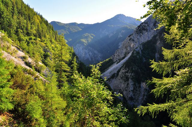 Planina Preval nad Ljubeljem 2012 - foto