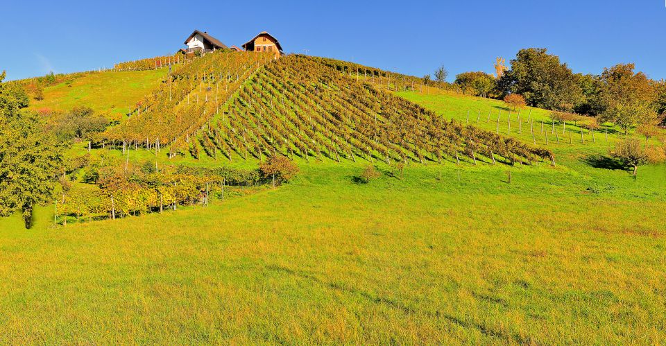 Lendavske gorice
