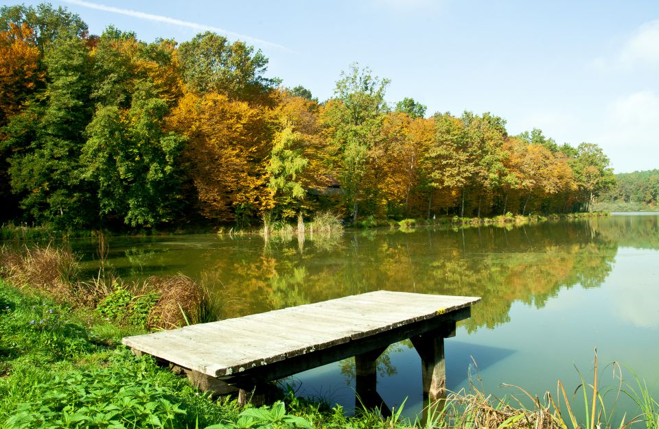 Bukovniško jezero