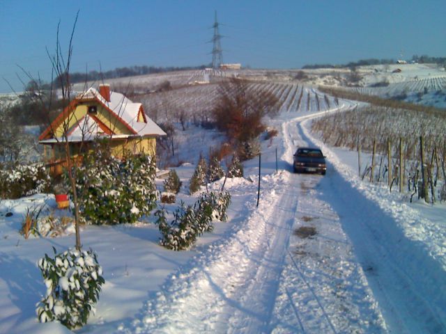 Zima v Malečniku 12.09 - foto