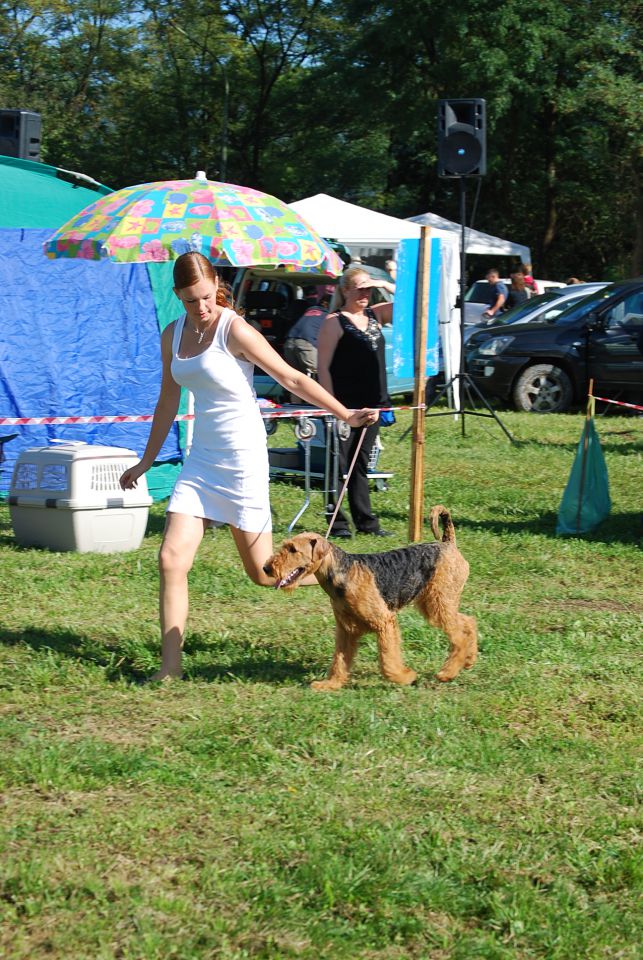 CAC Trbovlje 2010 - foto povečava