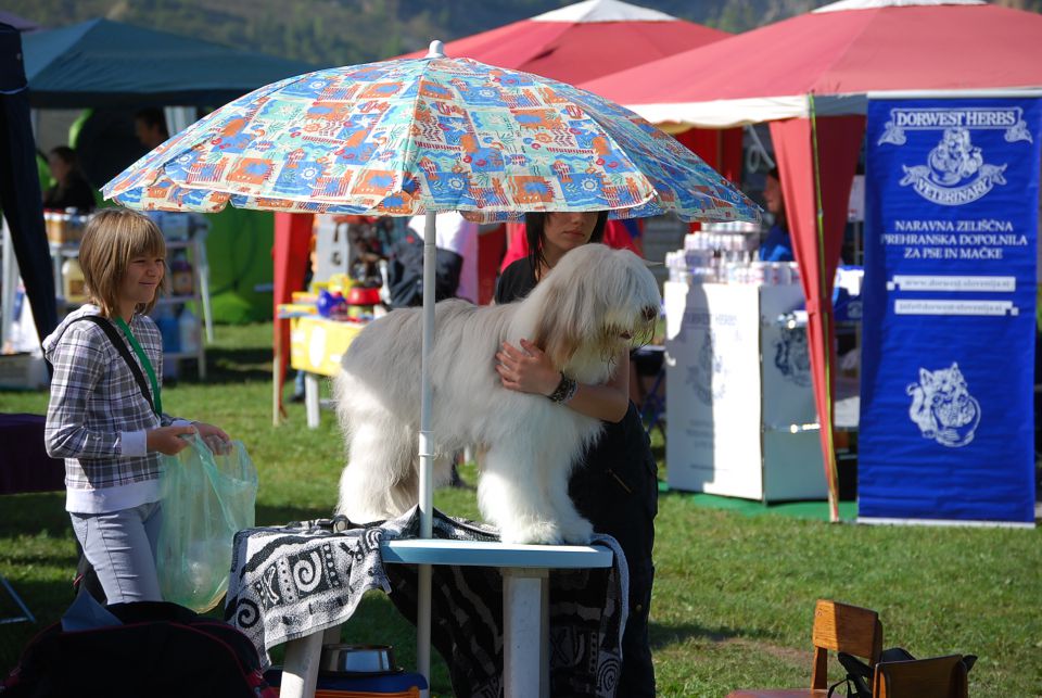 CAC Trbovlje 2010 - foto povečava