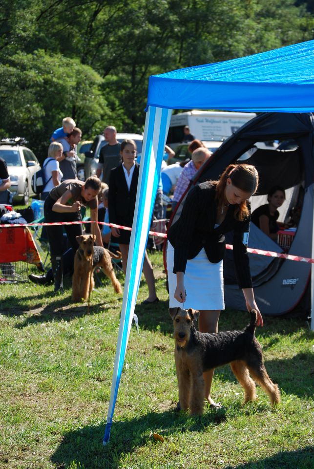 CAC Trbovlje 2010 - foto povečava