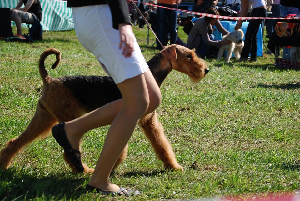 CAC Trbovlje 2010 - foto povečava