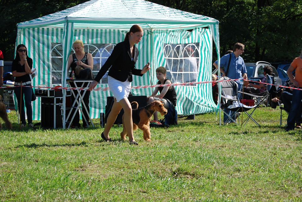 CAC Trbovlje 2010 - foto povečava