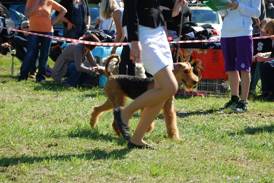 CAC Trbovlje 2010 - foto povečava