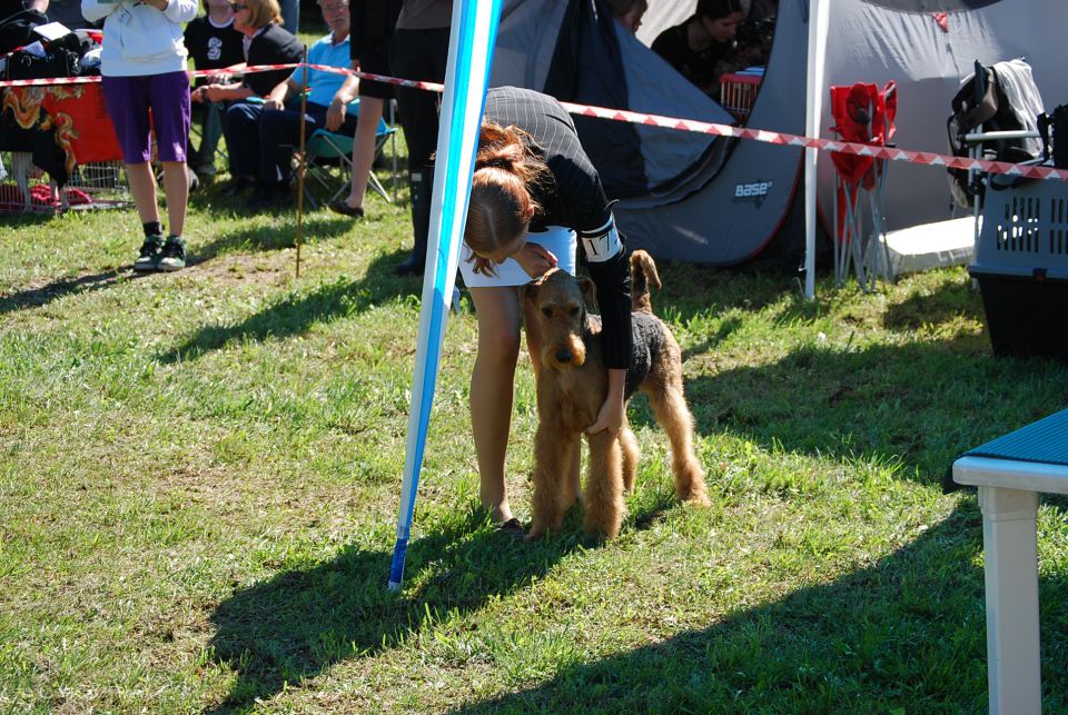 CAC Trbovlje 2010 - foto povečava