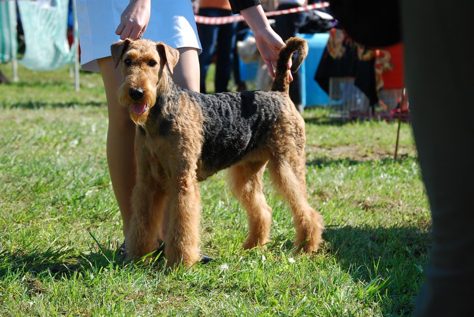 CAC Trbovlje 2010 - foto povečava