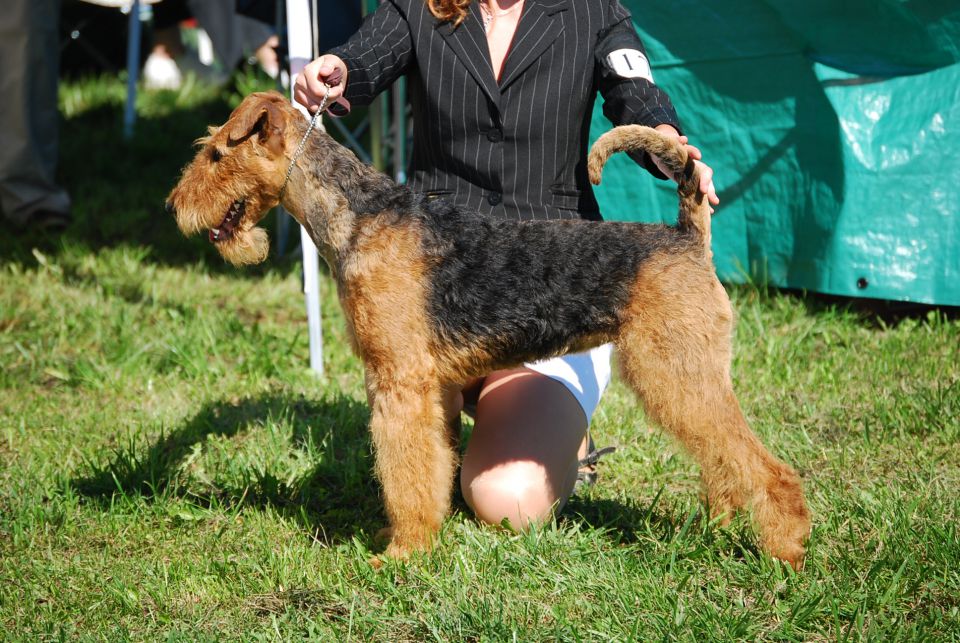 CAC Trbovlje 2010 - foto povečava