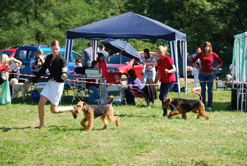 CAC Trbovlje 2010 - foto povečava