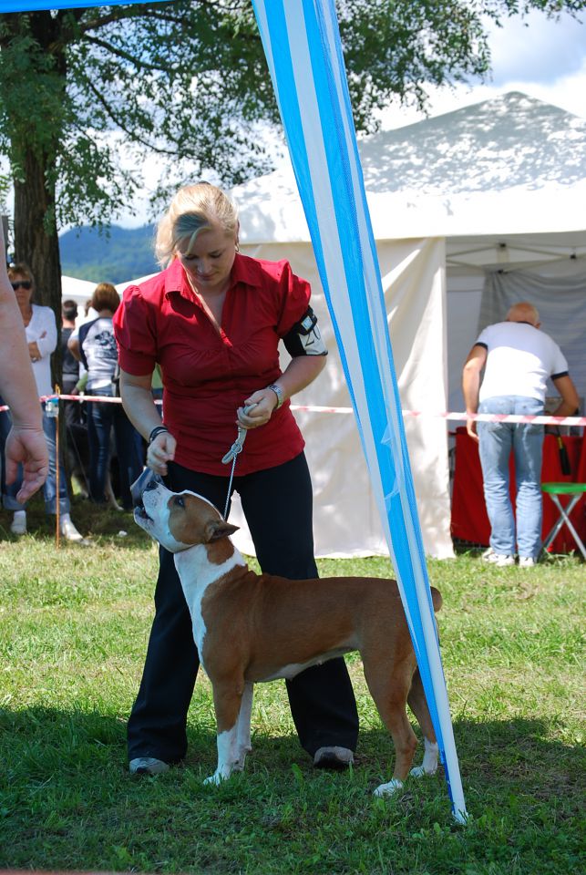 CAC Trbovlje 2010 - foto povečava