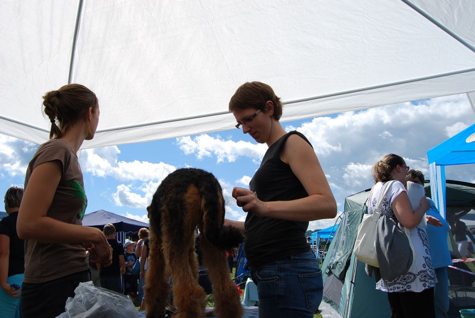 CAC Trbovlje 2010 - foto povečava