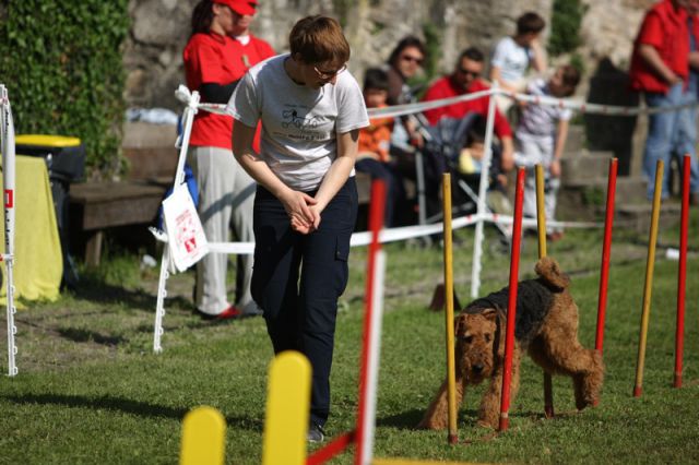 Agility 09 photo by Agility Portal - foto