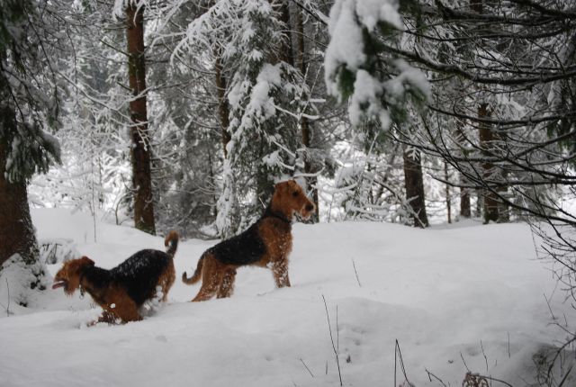 Venny, Jack & Lora 4.12.2010 - foto