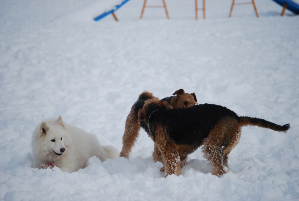 1. AT srečanje, Krim DEC 2010 - foto povečava