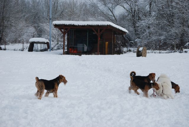 1. AT srečanje, Krim DEC 2010 - foto
