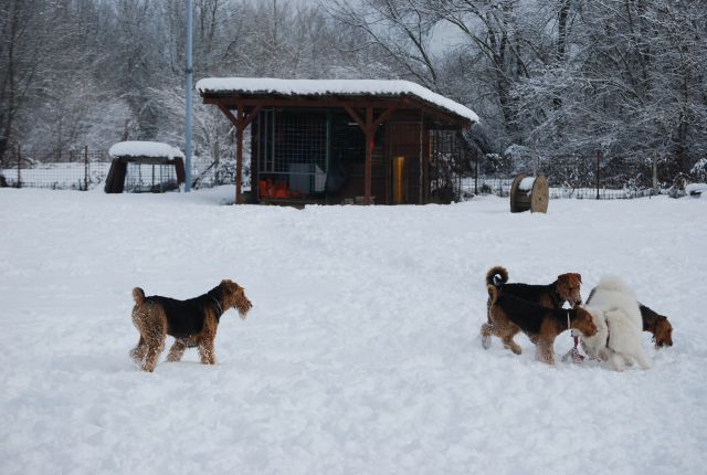 1. AT srečanje, Krim DEC 2010 - foto