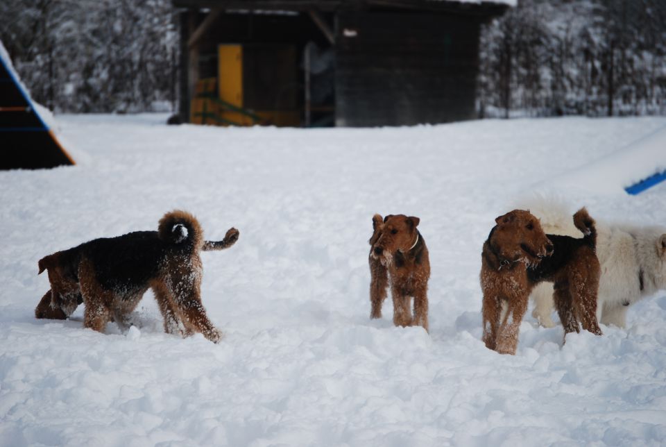 1. AT srečanje, Krim DEC 2010 - foto povečava