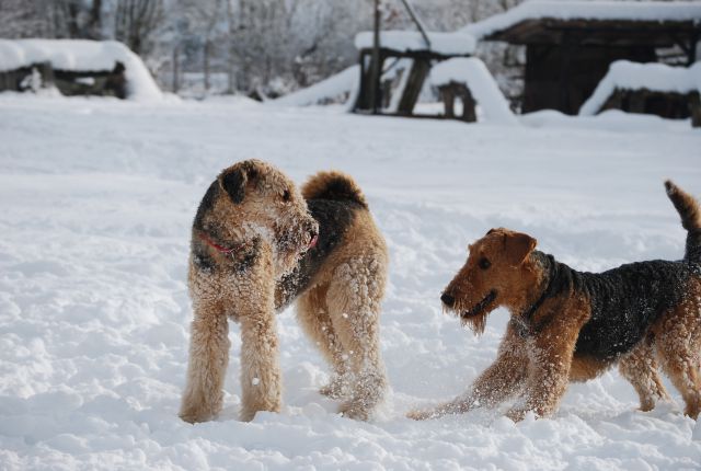 1. AT srečanje, Krim DEC 2010 - foto