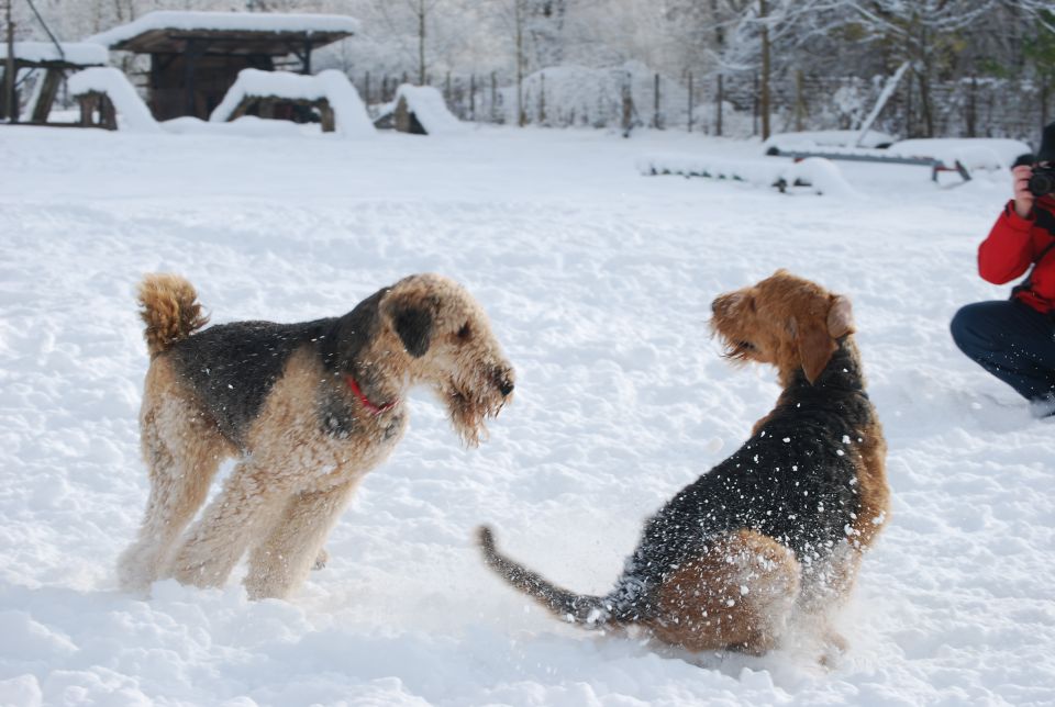 1. AT srečanje, Krim DEC 2010 - foto povečava