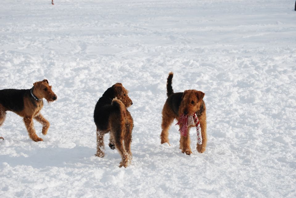 1. AT srečanje, Krim DEC 2010 - foto povečava