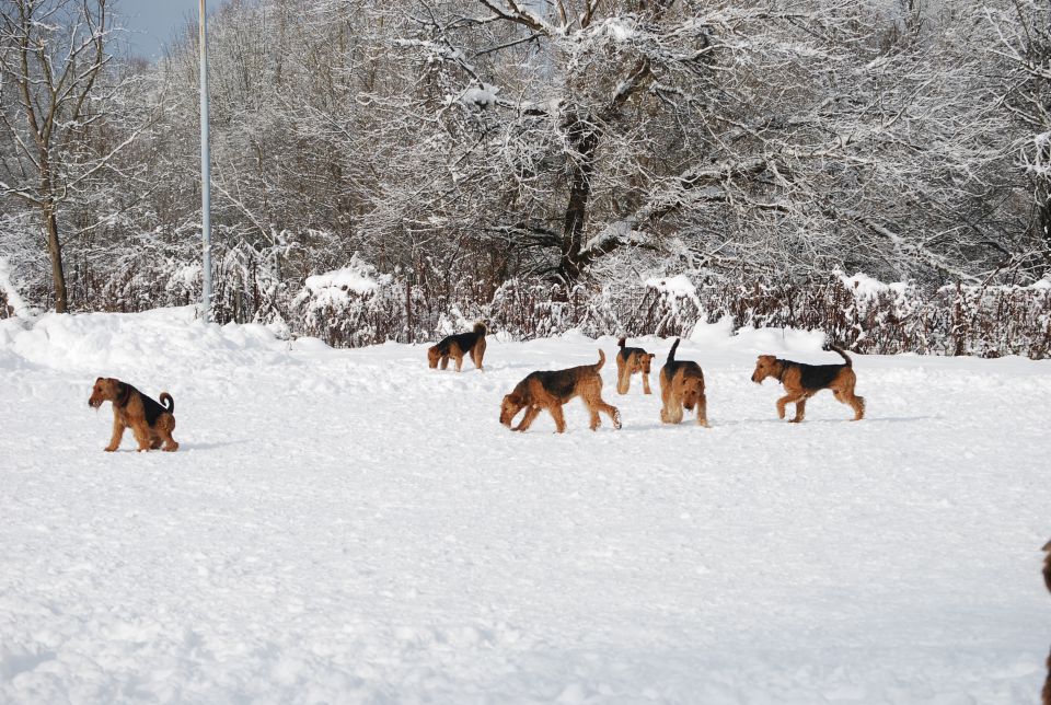 1. AT srečanje, Krim DEC 2010 - foto povečava