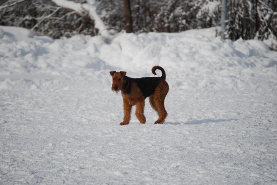 1. AT srečanje, Krim DEC 2010 - foto povečava