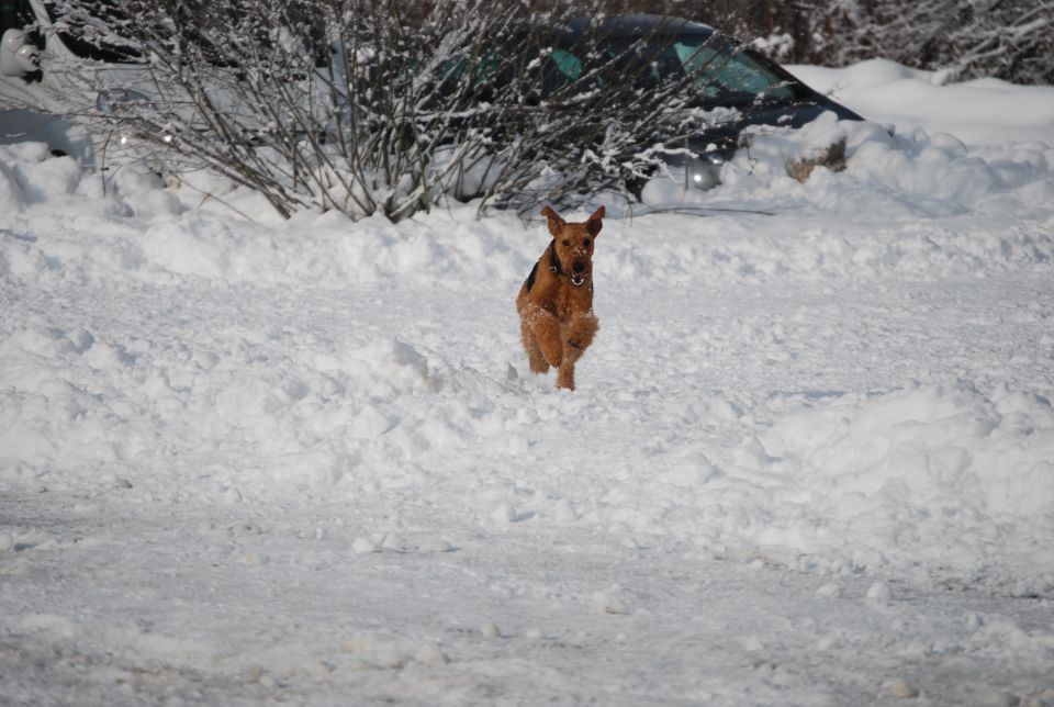 1. AT srečanje, Krim DEC 2010 - foto povečava