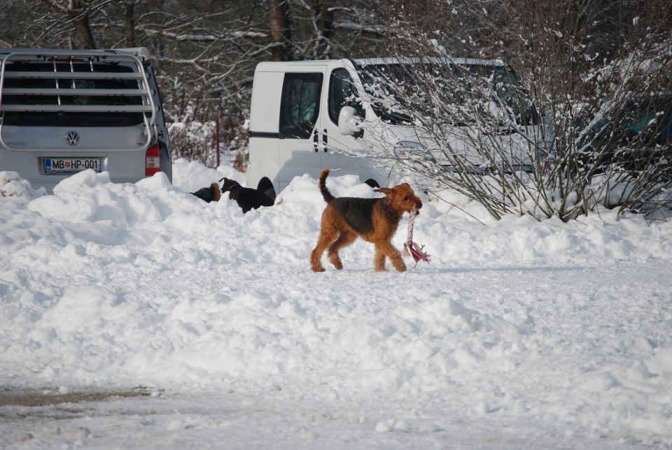 1. AT srečanje, Krim DEC 2010 - foto povečava